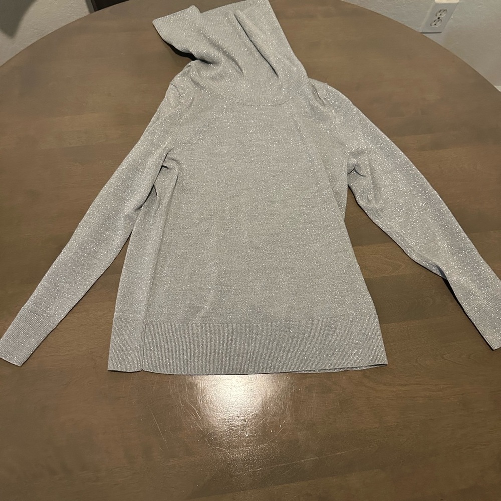 Talbots Shimmering Silver Knit Top